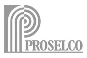 Logotipo de Proselco, cliente de Digital Gold